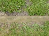 image of grave number 578372